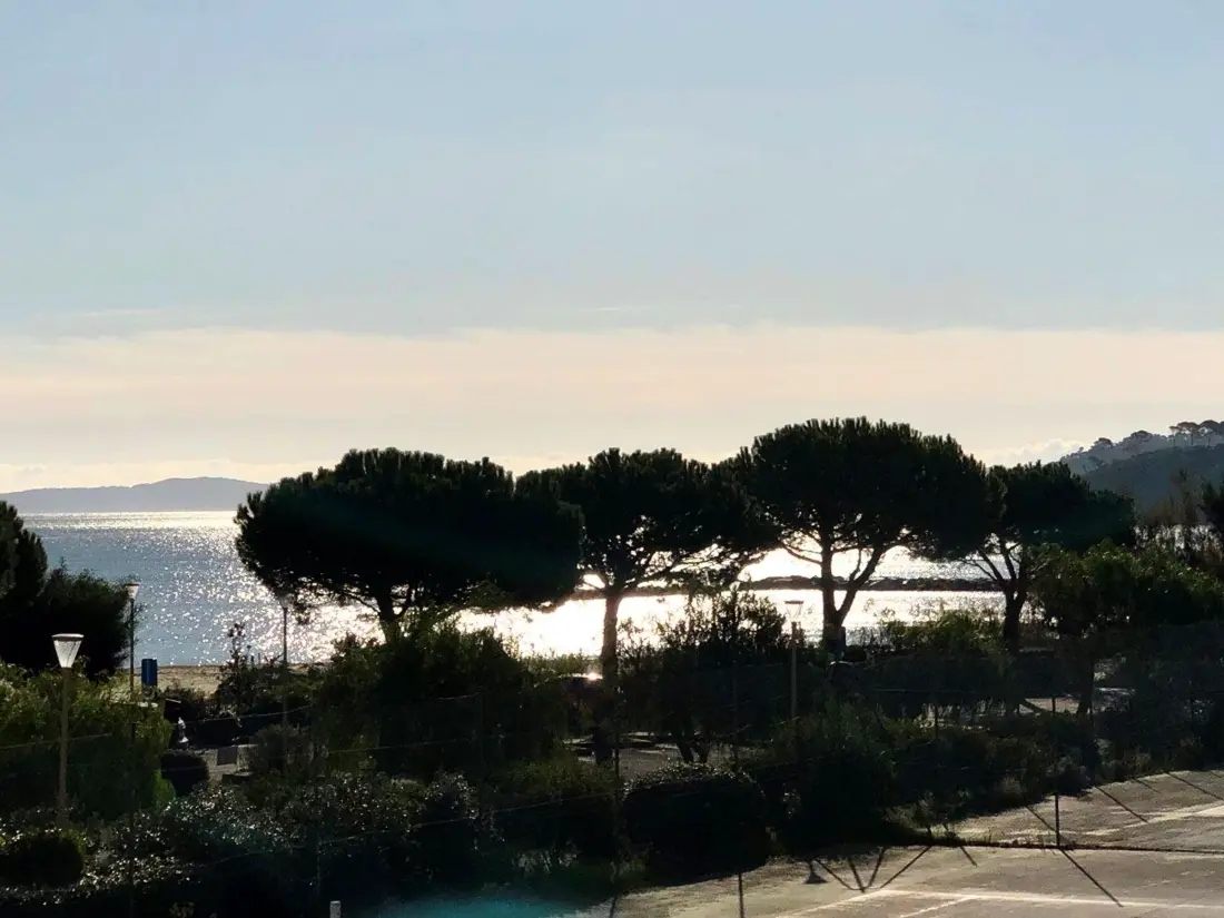 Location de Vacances Bormes-les-Mimosas 81