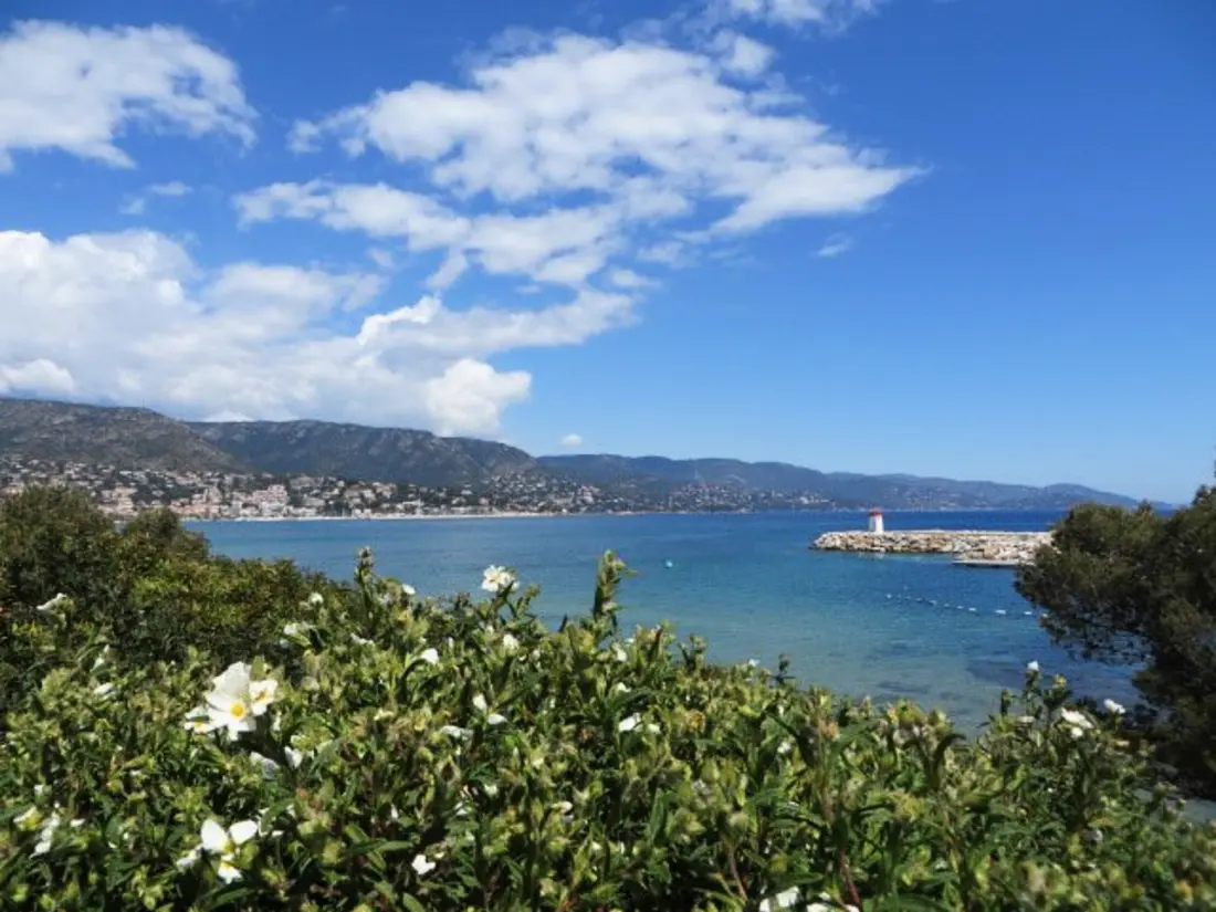 Location de Vacances Bormes-les-Mimosas 92