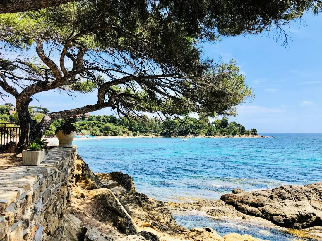 Maison de Vacances Bormes-les-Mimosas 183
