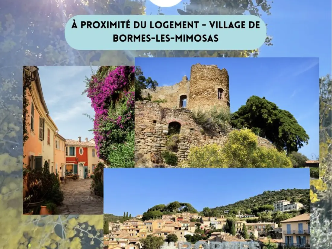 Maison de Vacances Bormes-les-Mimosas 295