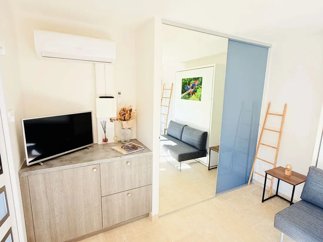 Maison de Vacances Bormes-les-Mimosas 295