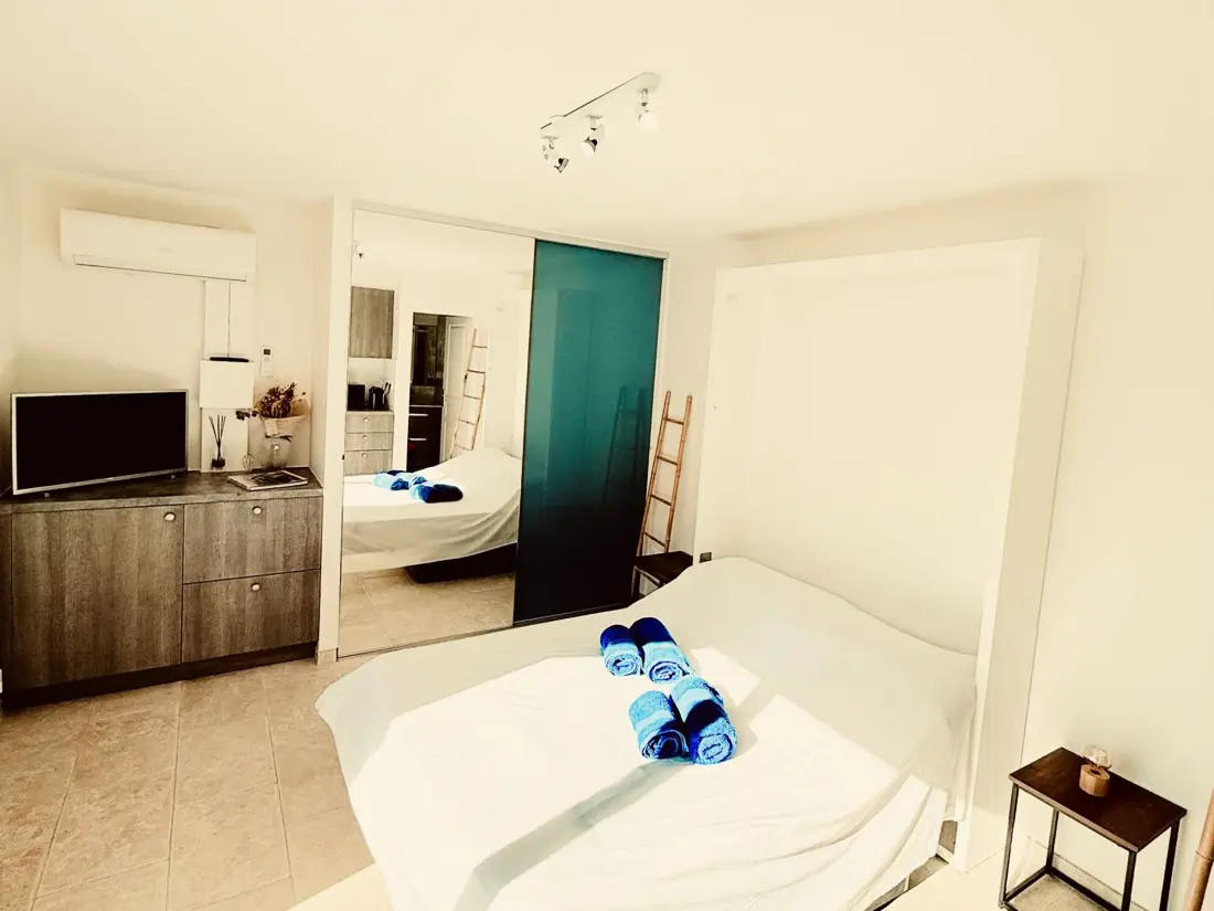 Maison de Vacances Bormes-les-Mimosas 295