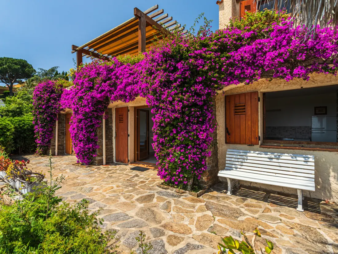 Maison de Vacances Bormes Les Mimosas
