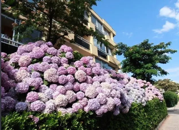 Résidence Cote D'azur V