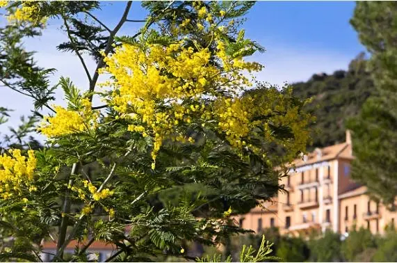 Résidence Cote D'azur V