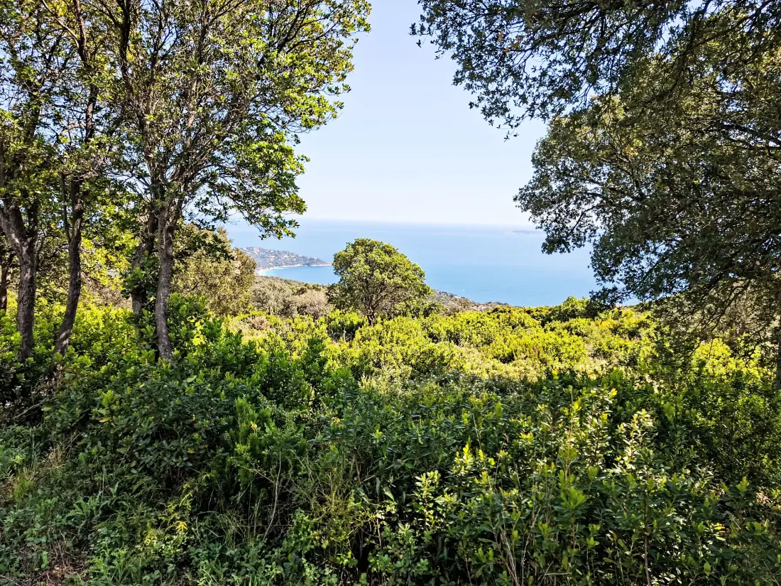 Résidence Le Jardin du Loderi