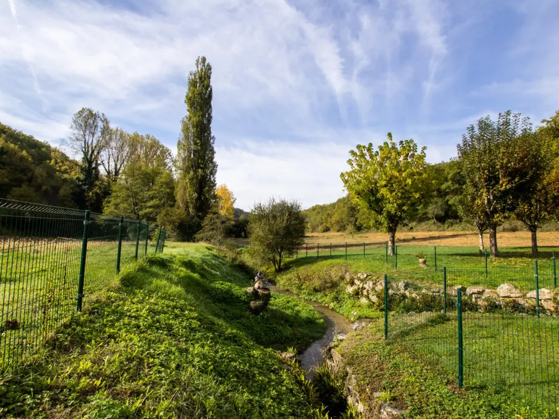 Maison de Vacances Borreze 4