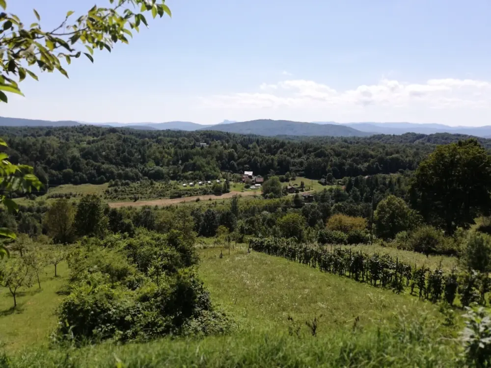 Camping Sretanwolf (Vodatent)