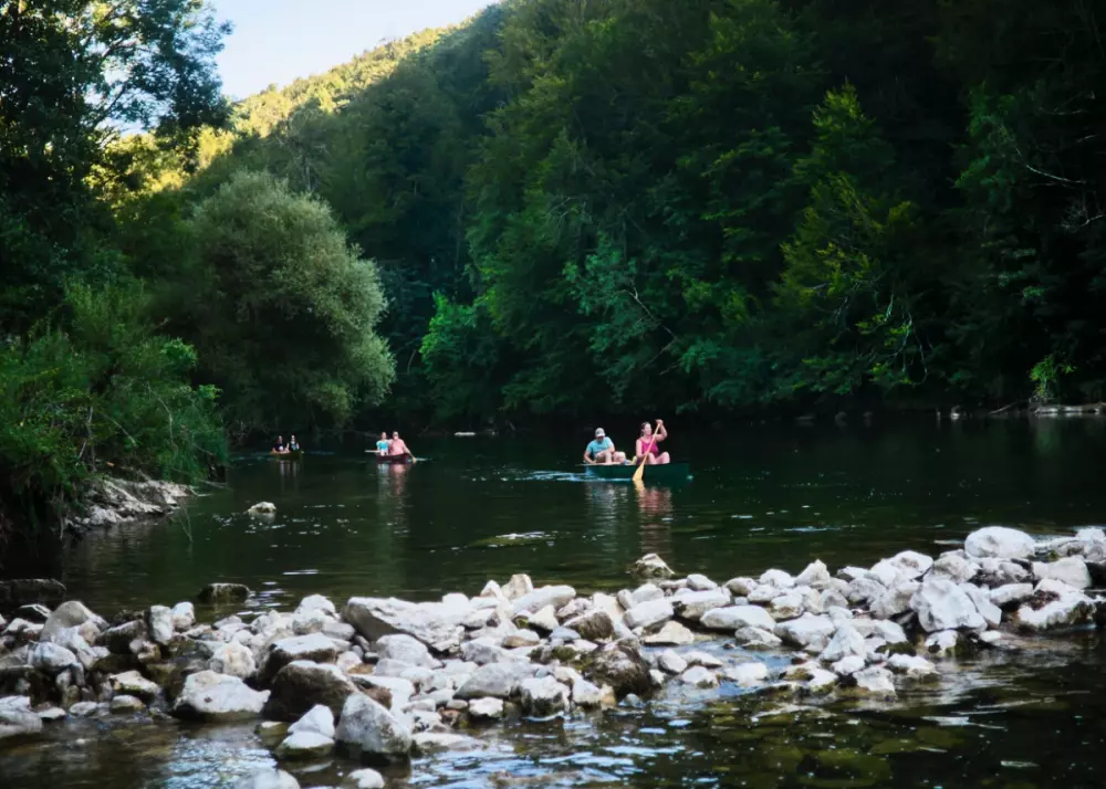 Camping Sretanwolf