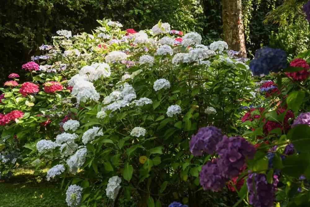 Gîte de France Gîtes de france® - le cottage 4 épis