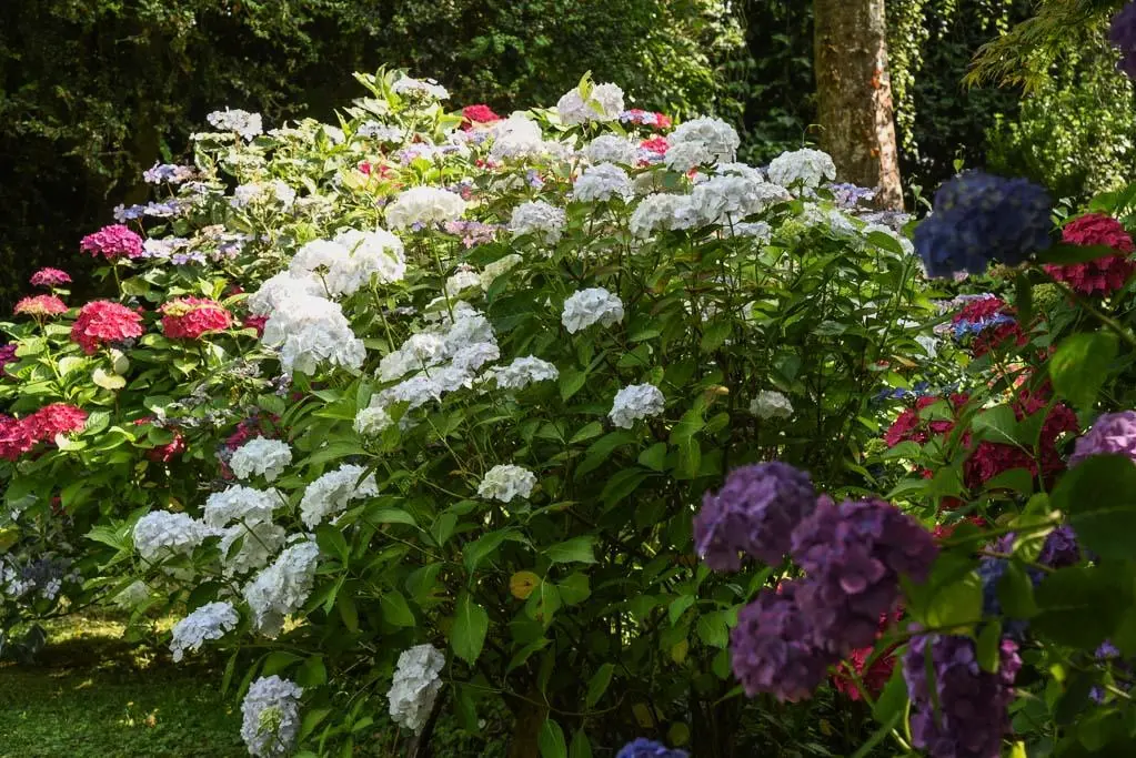 Gîte de France Gîtes de france® - le cottage 4 épis