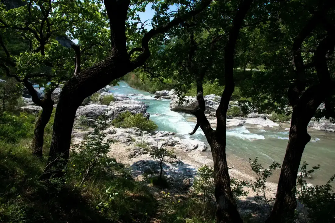Camping Yelloh Village Les Bois du Châtelas 4 étoiles★★★★