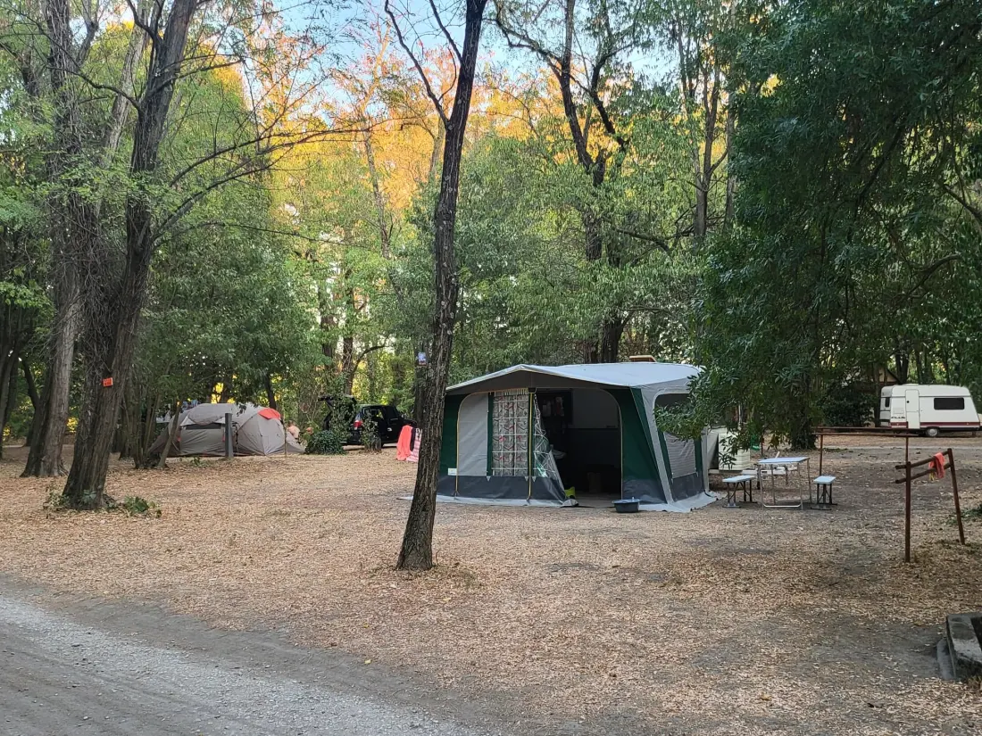 CAMPING DU LION 3 étoiles★★★