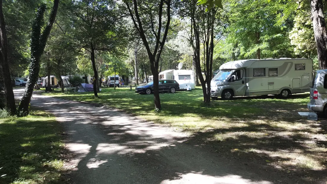 CAMPING DU LION 3 étoiles★★★