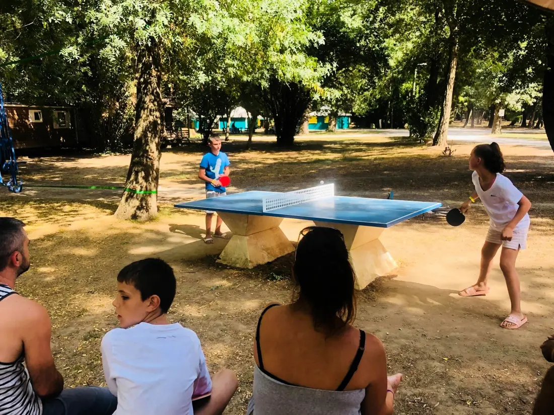 CAMPING DU LION 3 étoiles★★★