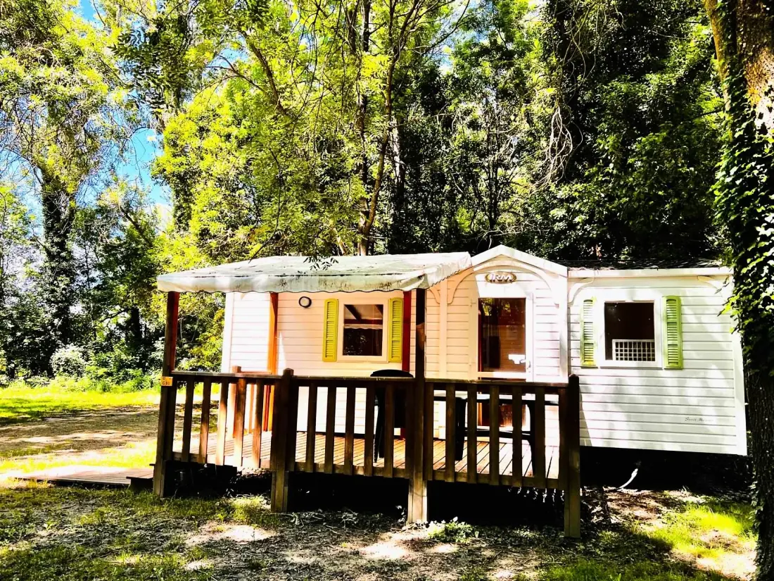 CAMPING DU LION 3 étoiles★★★
