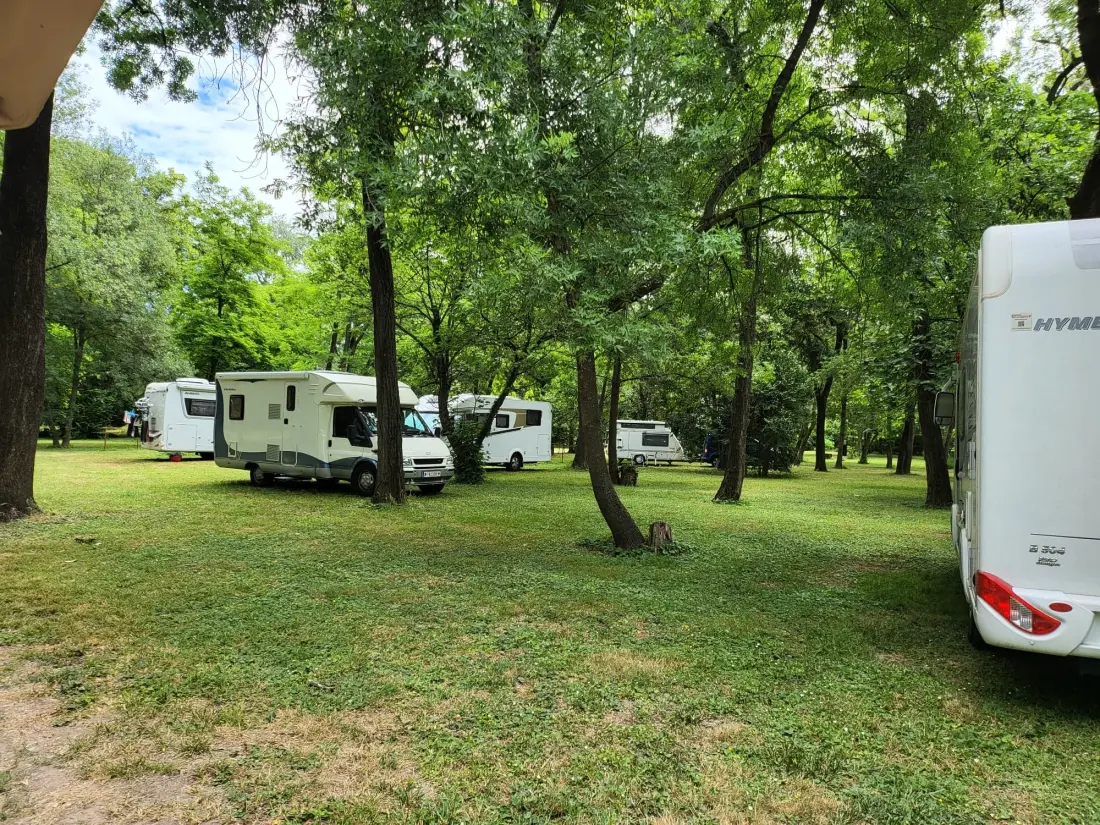 CAMPING DU LION 3 étoiles★★★