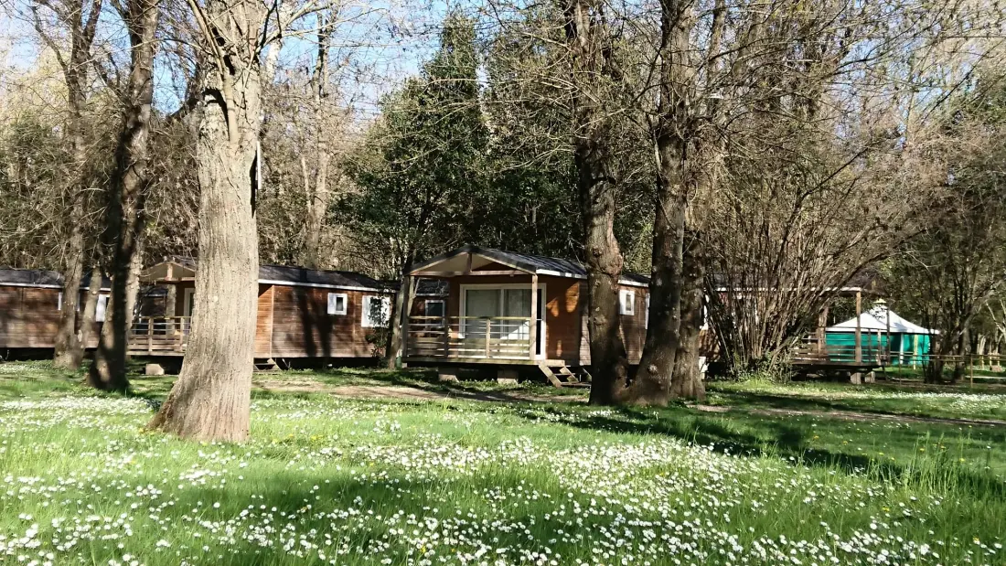 CAMPING DU LION 3 étoiles★★★