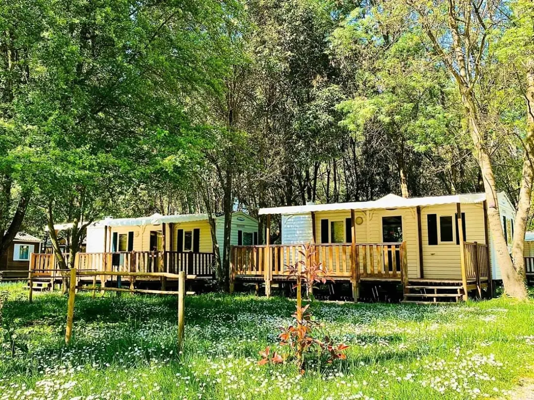 CAMPING DU LION 3 étoiles★★★