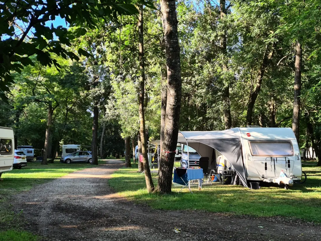 CAMPING DU LION 3 étoiles★★★