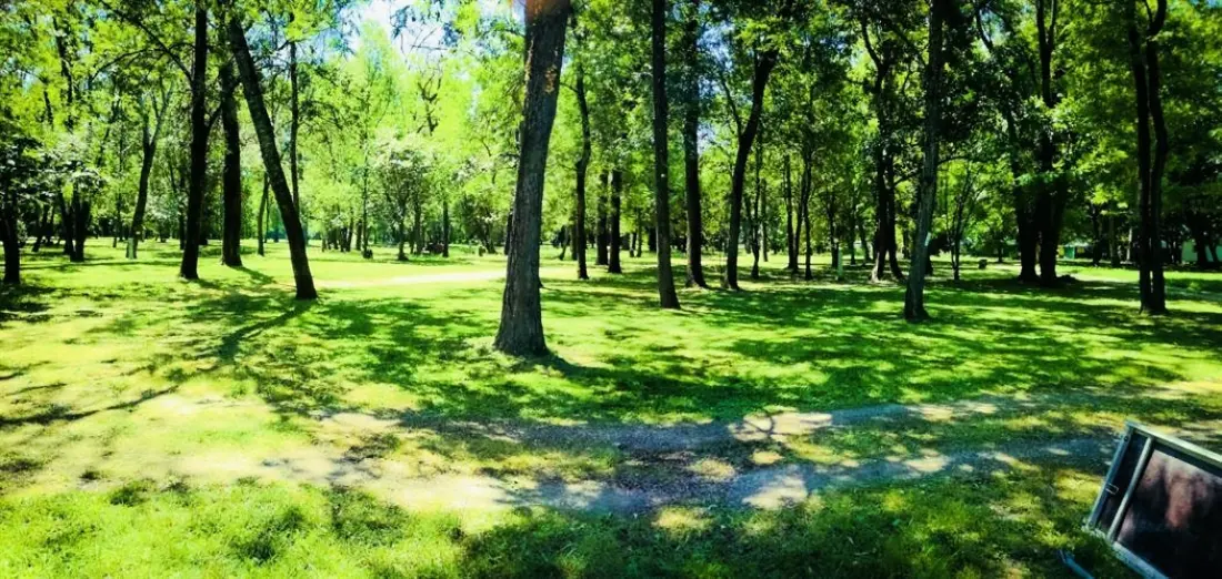 CAMPING DU LION 3 étoiles★★★