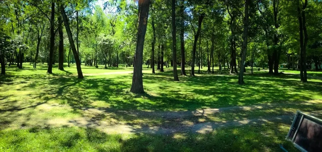 CAMPING DU LION 3 étoiles★★★