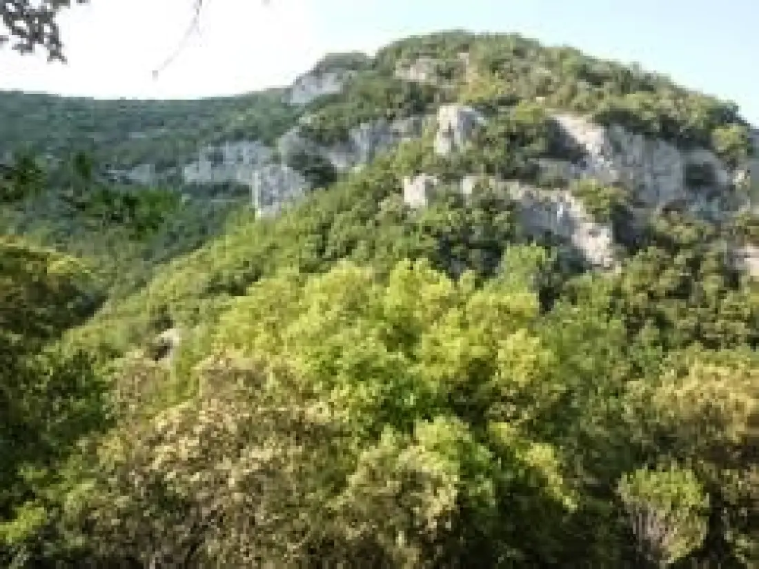 CAMPING DU LION 3 étoiles★★★