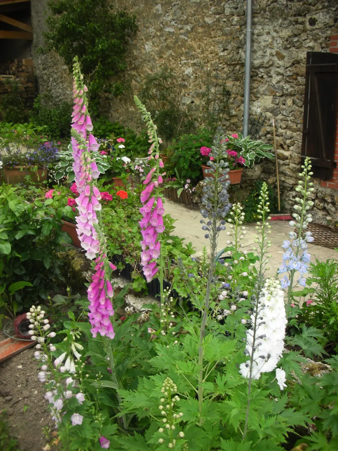 Gîte de France L'epine 4 épis