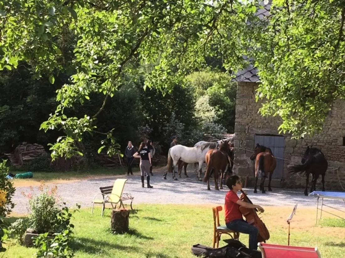 Maison de Vacances Braffais 4