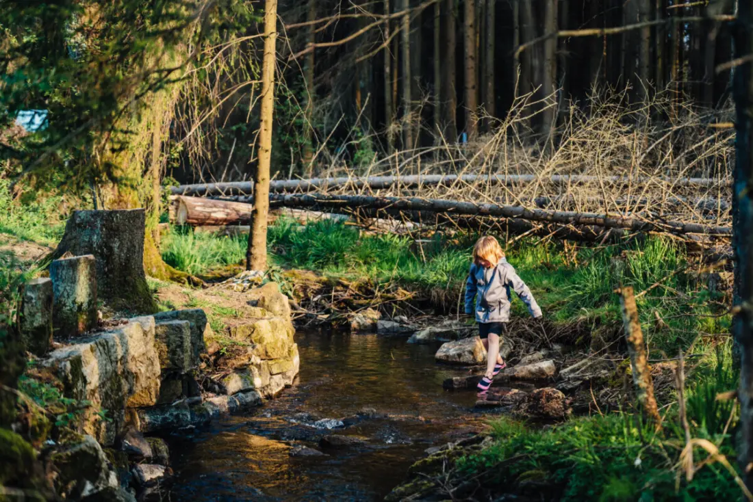 Camping Braunlage