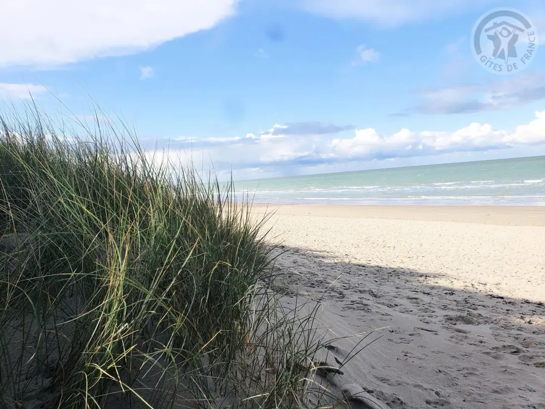 Maison de Vacances Bray-Dunes 37