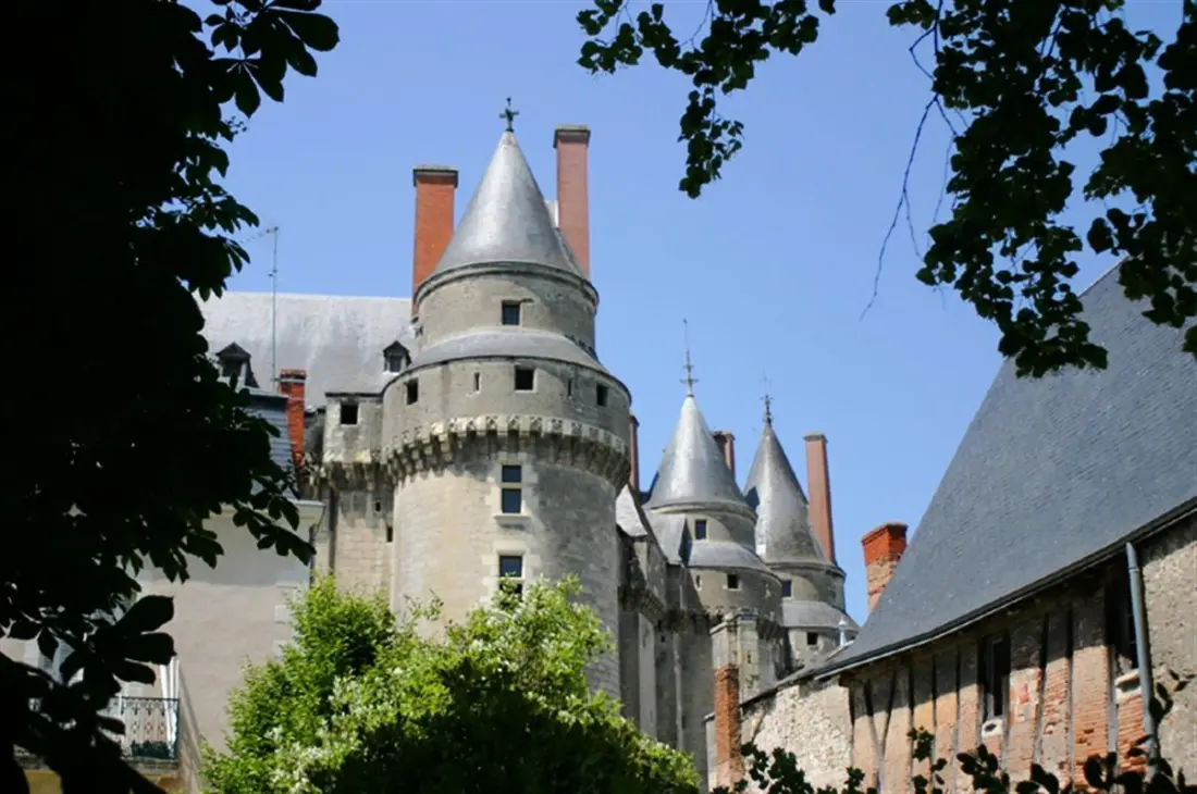 Flower Camping Loire et Châteaux 4 étoiles★★★★