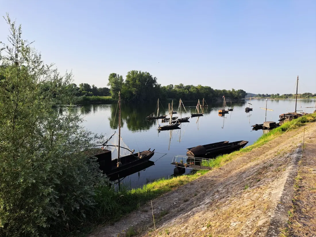 Flower Camping Loire et Châteaux 4 étoiles★★★★