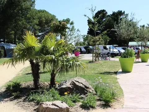 Camping  L'Océan  5 étoiles★★★★★