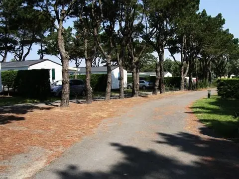 Camping  L'Océan  5 étoiles★★★★★
