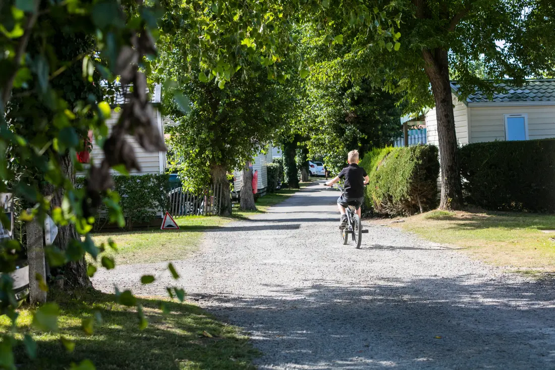 Camping Le Brandais3 étoiles★★★