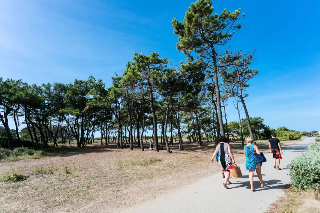 Camping Le Brandais3 étoiles★★★