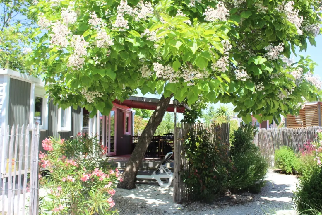 Camping Le Chaponnet 4 étoiles★★★★