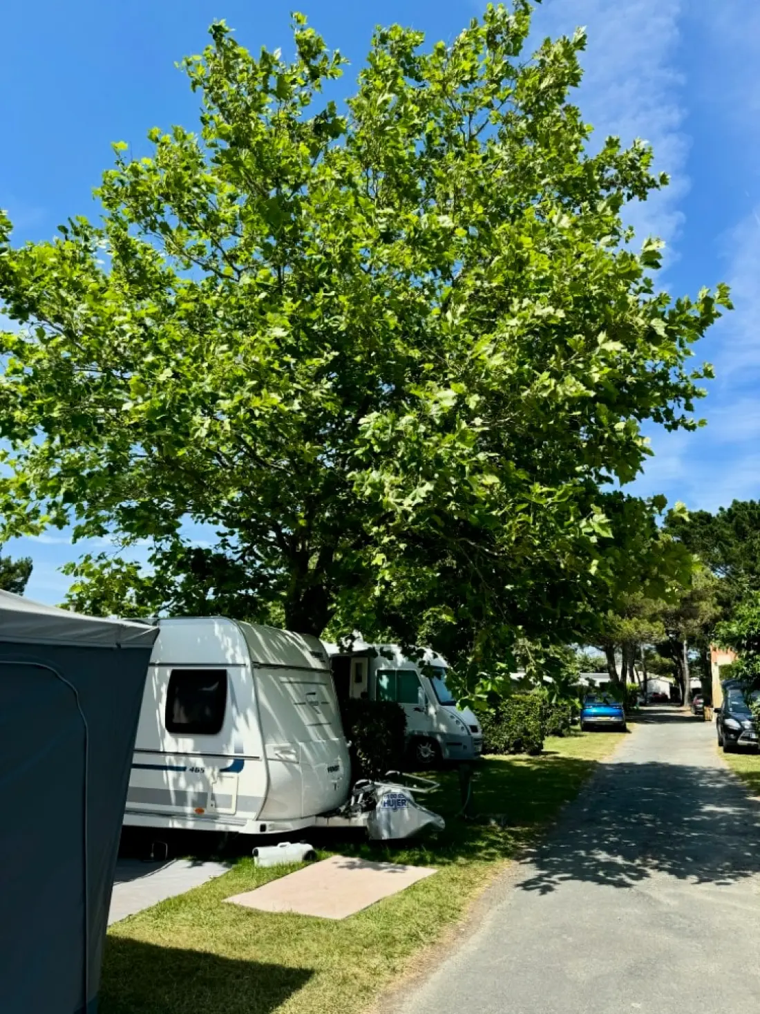 Camping Le Chaponnet 4 étoiles★★★★