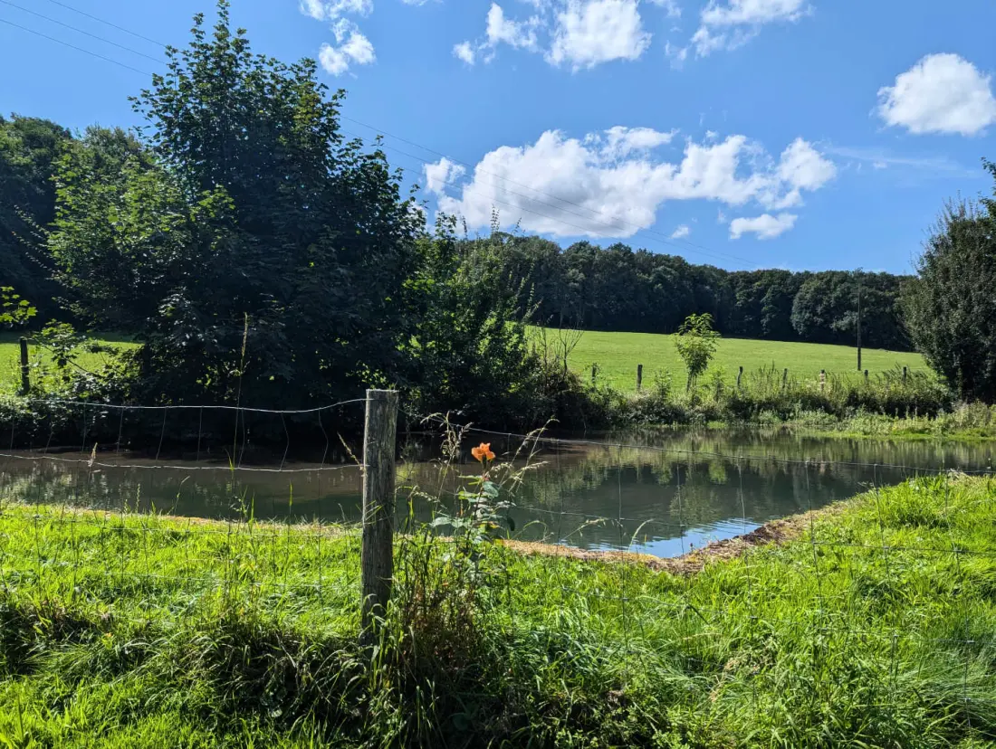 Gîte de France Le chêne vert