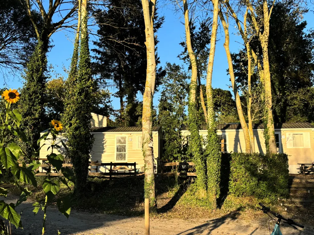 Flower Camping de la Trye 2 étoiles★★