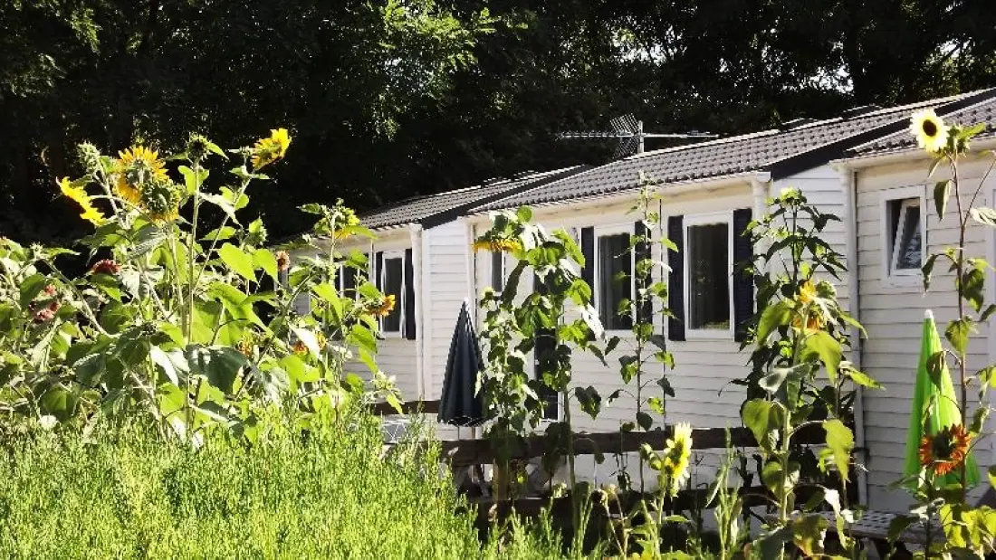 Flower Camping de la Trye 2 étoiles★★