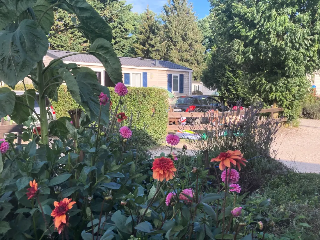 Flower Camping de la Trye 2 étoiles★★
