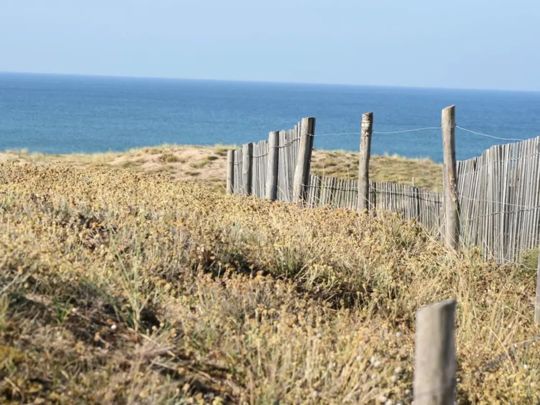 Maison de Vacances Bretignolles-sur-Mer 242