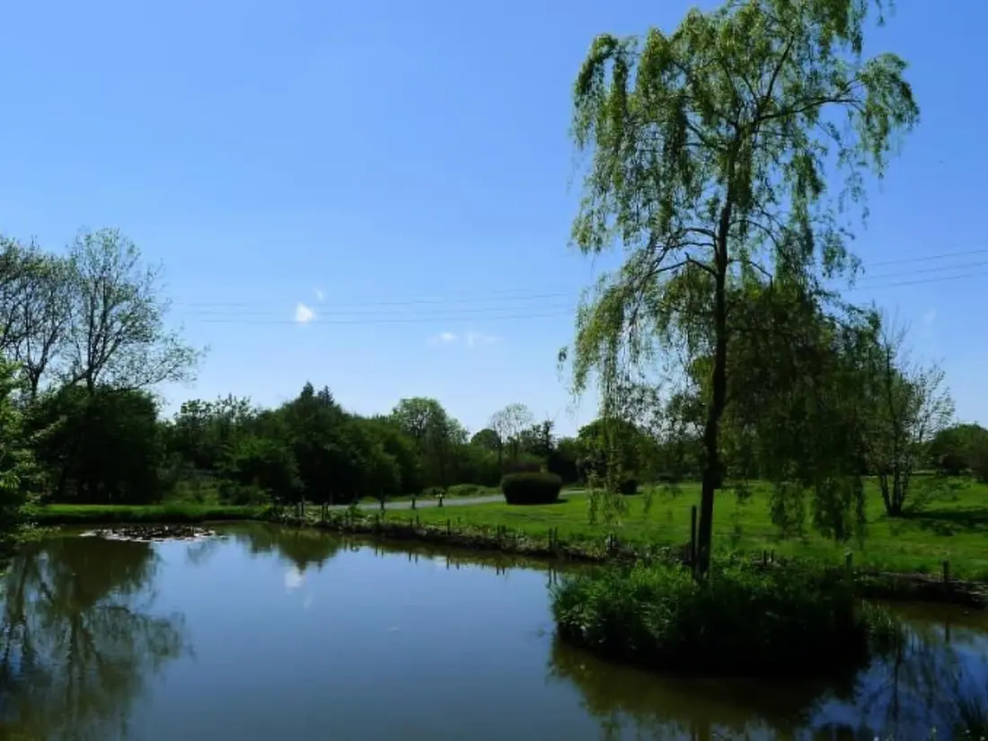 Maison de Vacances Bretteville sur Ay