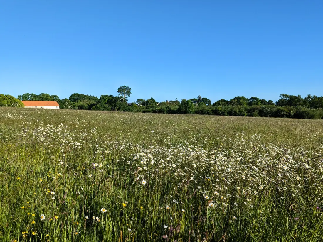 Maison de Vacances Bretteville sur Ay