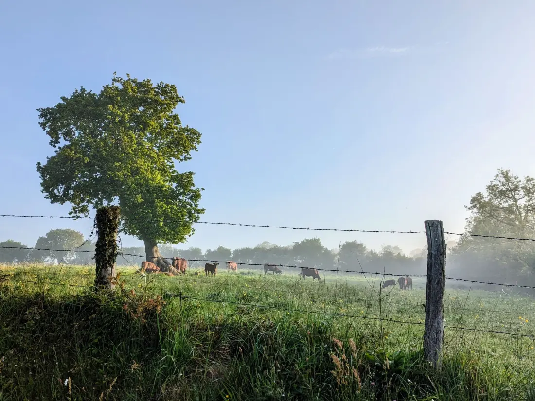Maison de Vacances Bretteville sur Ay