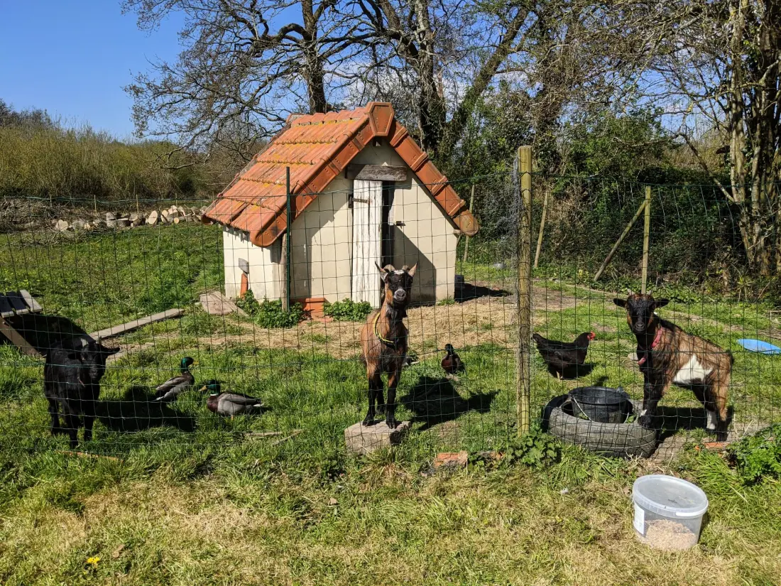 Maison de Vacances Bretteville sur Ay