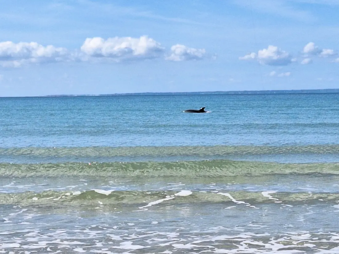 Maison de Vacances Bretteville sur Ay