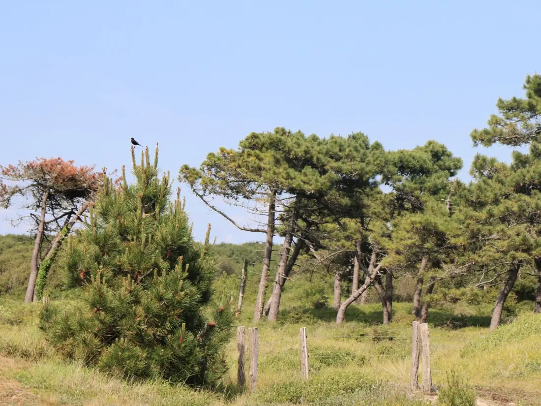 Maison de Vacances Bretteville sur Ay